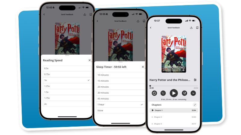 eplatform-reading-support-audiobook-settings